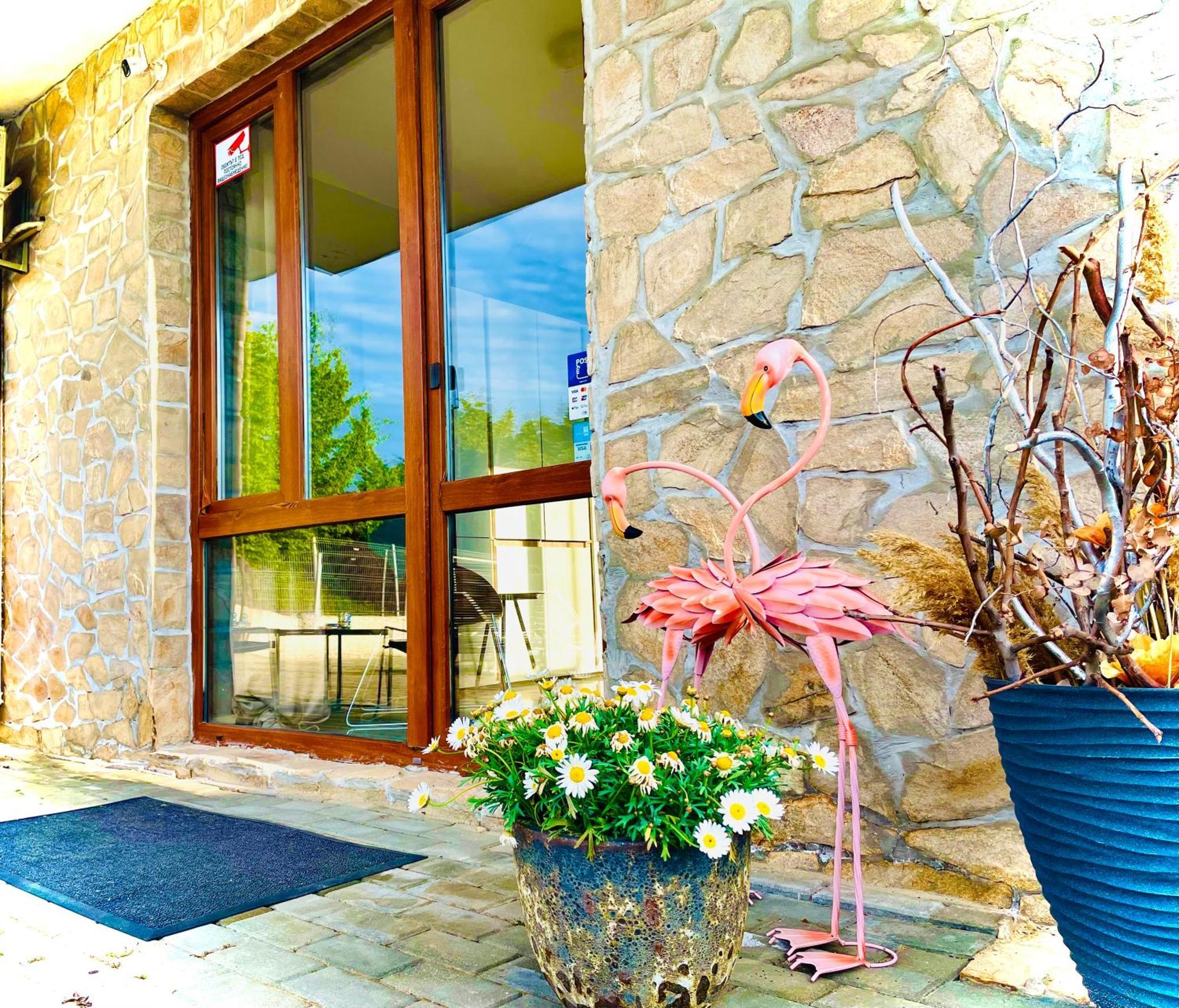 Stefaniya Apartments Sozopol Bagian luar foto